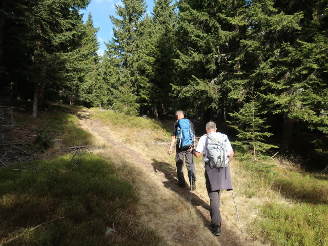Frank und Erich am Berglasteig zwischen Halterhütte und Kraubatheck