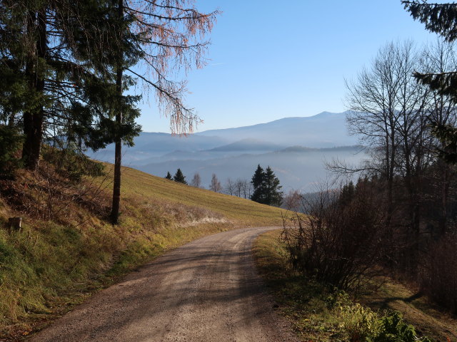 zwischen Waldkogel und Stoxreiter