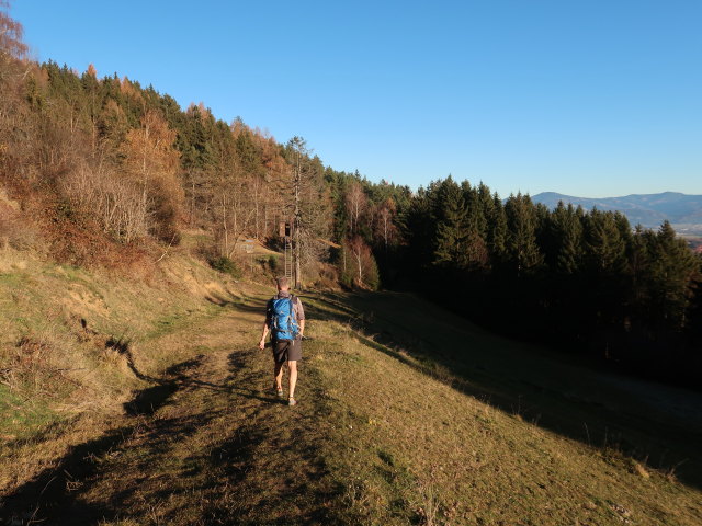 Frank zwischen Stoxreiter und Dietersdorfer Graben