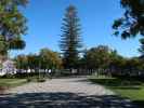 Parque de Luisa Todi in Setúbal (26. Nov.)