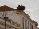 Rua Francisco Vieira in Silves (30. Nov.)