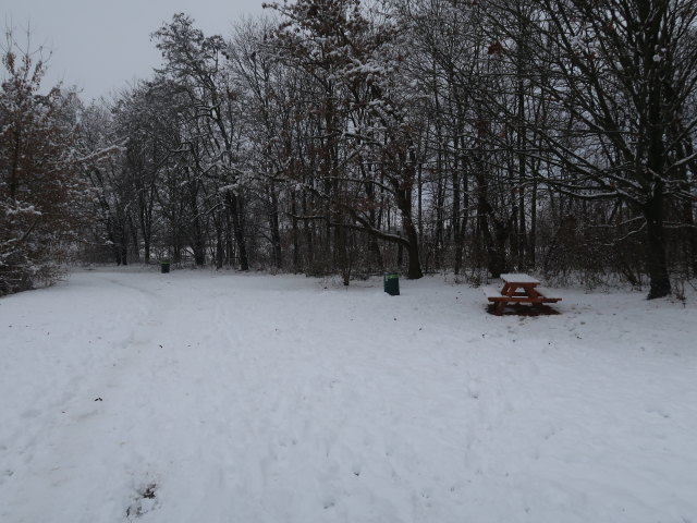 beim S&uuml;&szlig;enbrunner Badeteich