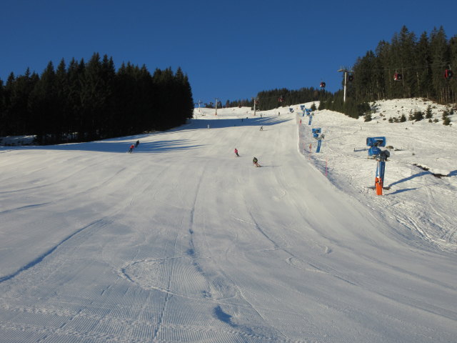 Georg auf der Abfahrt 'Wagst&auml;tt/Wurzh&ouml;he' (31. Dez.)