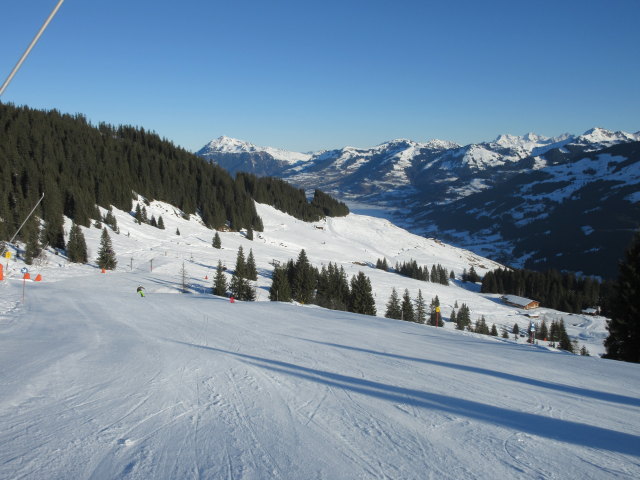 Arian auf der Verbindung B&auml;denbadkogel I + II (31. Dez.)