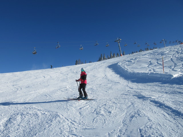 Bärnbissabfahrt neu