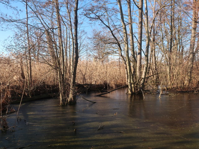 zwischen Mistelbach und Zaya