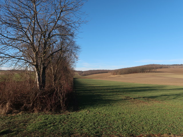 zwischen Paasdorf und Ladendorf
