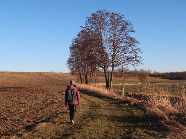 Sabine beim Neubauer Bach zwischen Ladendorf und Bahnhof Neubau-Kreuzstetten