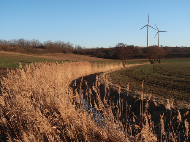 Neubauer Bach zwischen Ladendorf und Bahnhof Neubau-Kreuzstetten