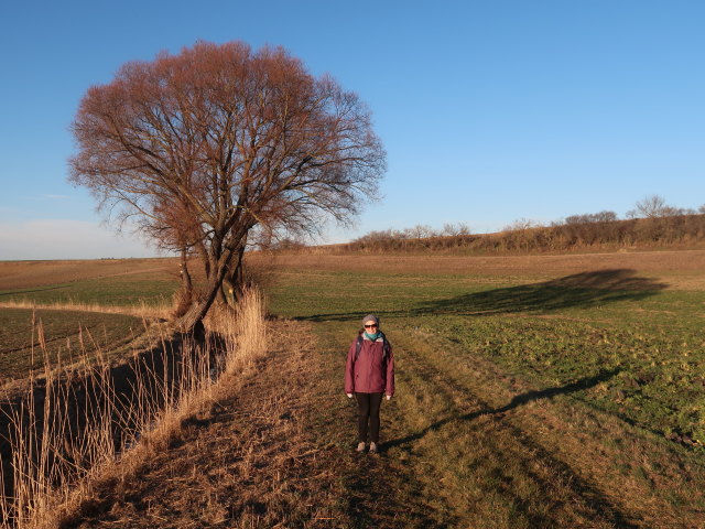 Sabine beim Neubauer Bach zwischen Ladendorf und Bahnhof Neubau-Kreuzstetten