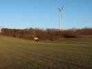 Laaer Ostbahn zwischen Ladendorf und Neubau-Kreuzstetten