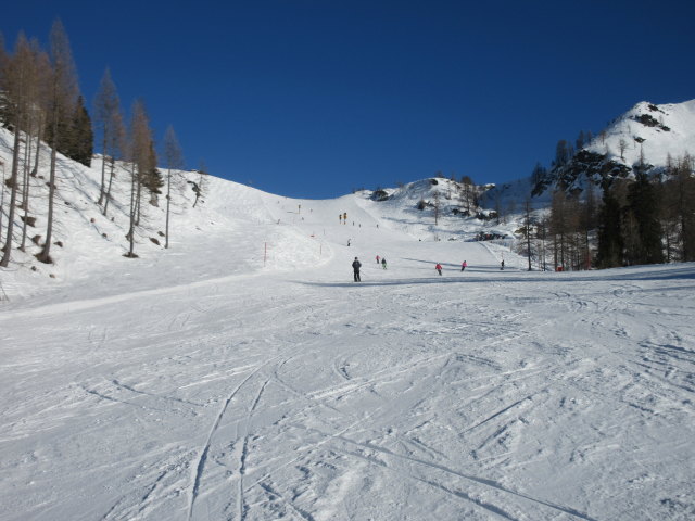 Watschiger-Alm-Abfahrt