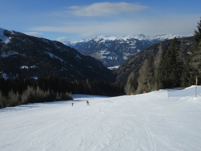 B&auml;rnbissabfahrt neu