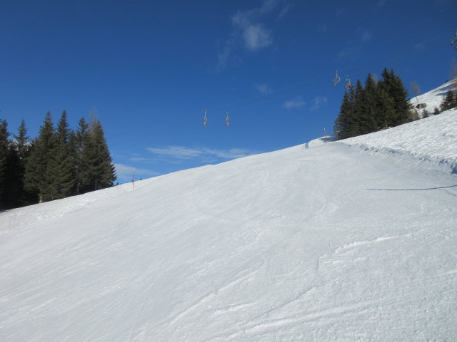 B&auml;rnbissabfahrt neu
