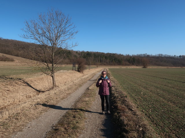 Sabine zwischen Hörersdorf und Bahnhof Frättingsdorf