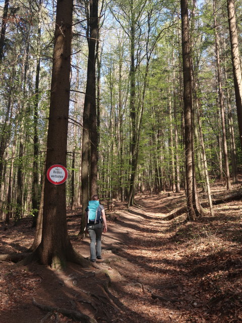 Sabine zwischen Kreisbach und Ochsenburger Hütte