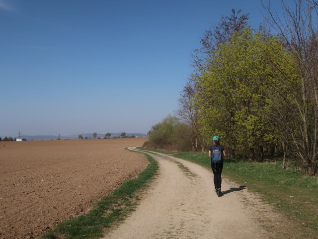 Sabine zwischen Am Pittnerberg und Weitern