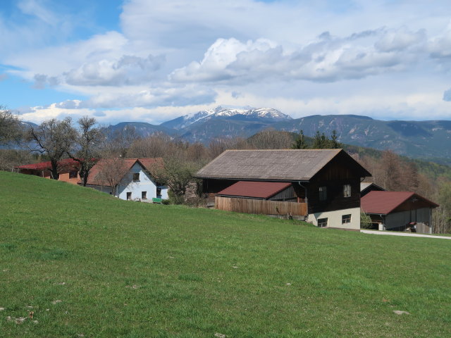 zwischen Raach am Hochgebirge und Rams