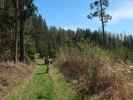 Sabine zwischen Raach am Hochgebirge und Rams