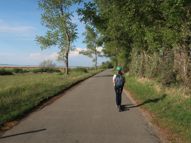 Sabine in der Hölle