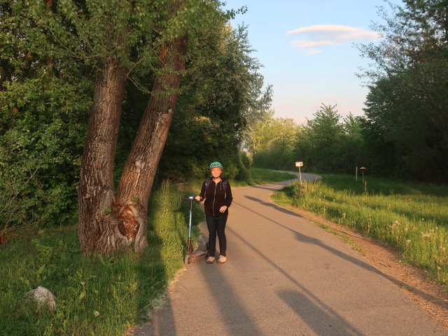 Sabine zwischen Weiden am See und Neusiedl am See