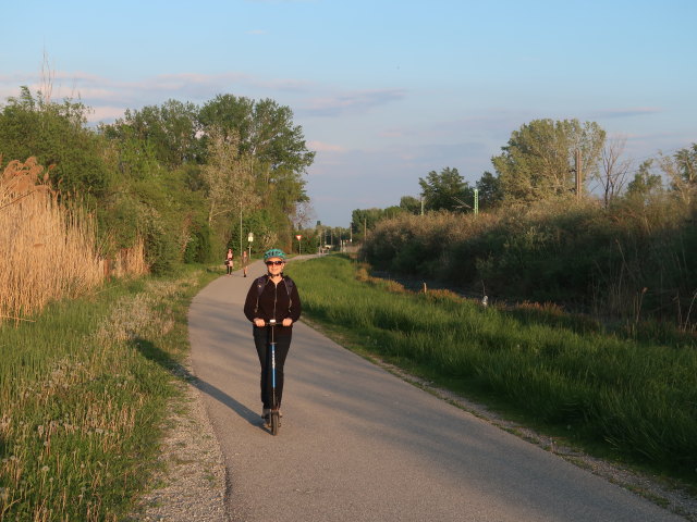 Sabine in Neusiedl am See