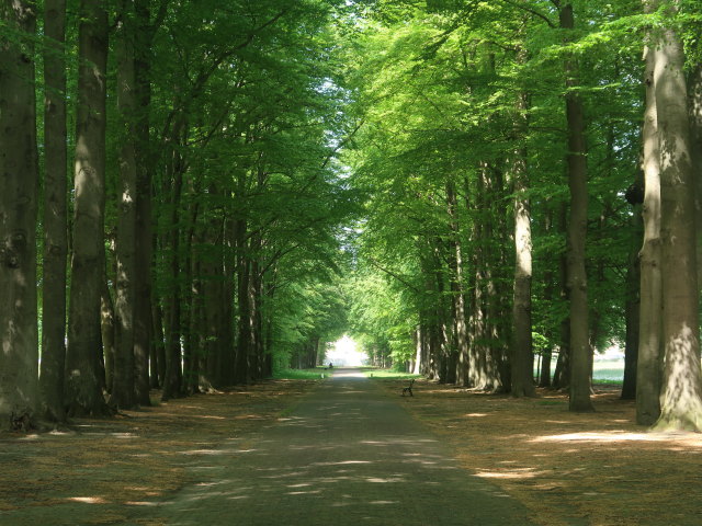 Paleis Het Loo in Apeldoorn (14. Mai)