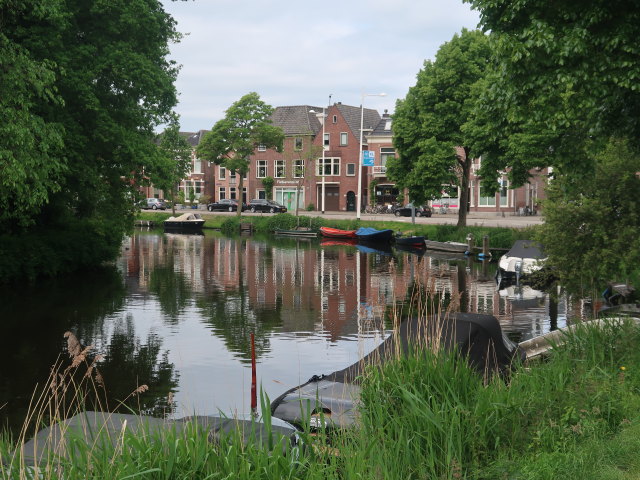 Geestersingel in Alkmaar (17. Mai)