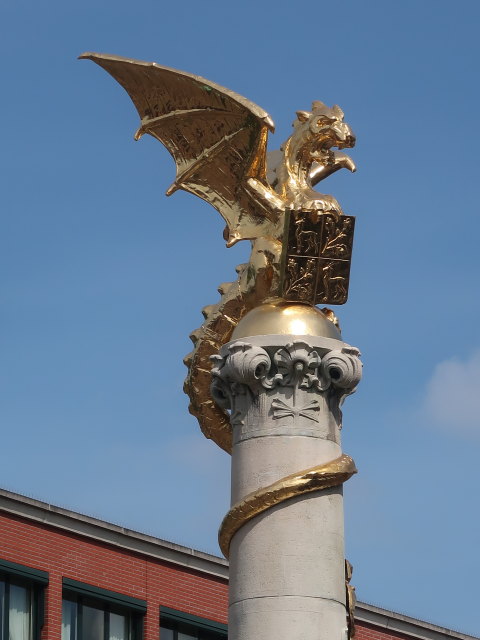 Drakenfontein in 's-Hertogenbosch (22. Mai)