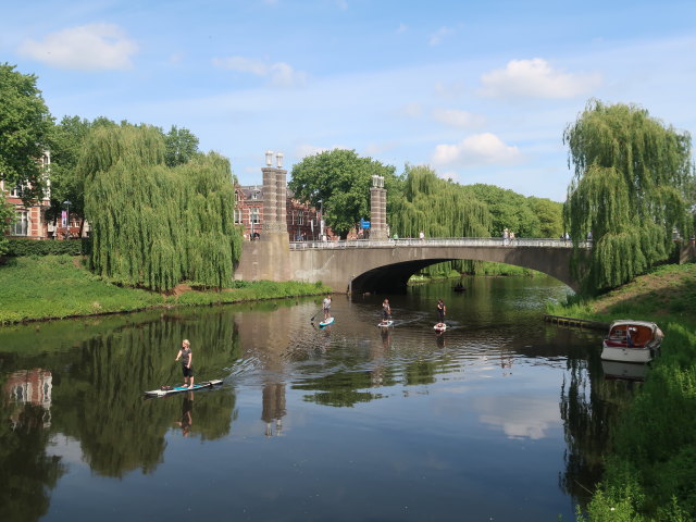 Dommel in 's-Hertogenbosch (22. Mai)