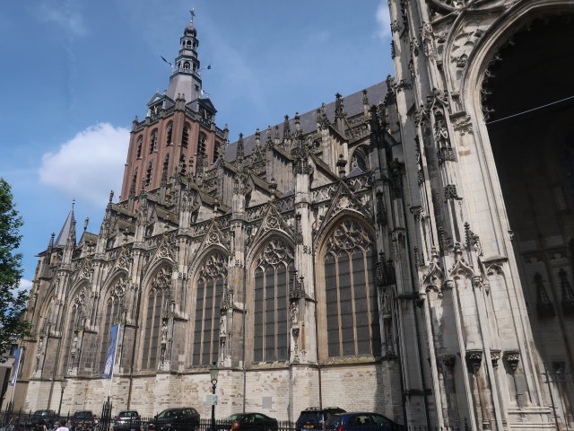 Sint-Janskathedraal in 's-Hertogenbosch (22. Mai)