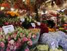 Bloemenmarkt in Amsterdam (18. Mai)