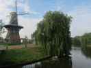 Molen De Valk in Leiden (20. Mai)