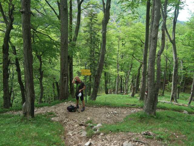 Frank zwischen Törl und Rauer Kaibling