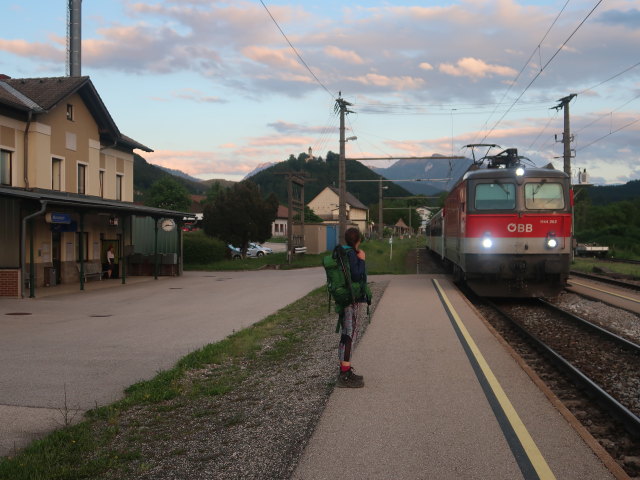 Ursa im Bahnhof Micheldorf, 449 m