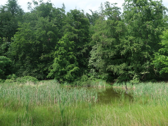 Rührsdorfer See
