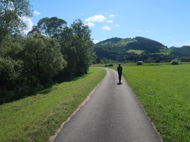 Sabine zwischen Wiesenfeld und Traisen