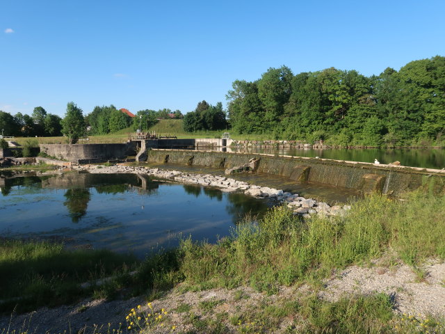 Traisen zwischen Wilhelmsburg und Spratzern