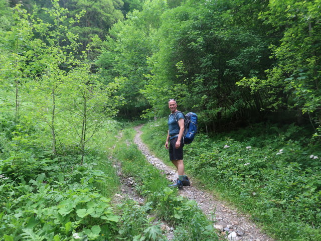 Frank zwischen Johnsbach und Winterhöllbach (3. Juni)