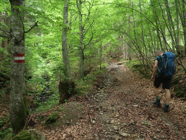 Frank zwischen Winterh&ouml;llbach und Huberalm (3. Juni)