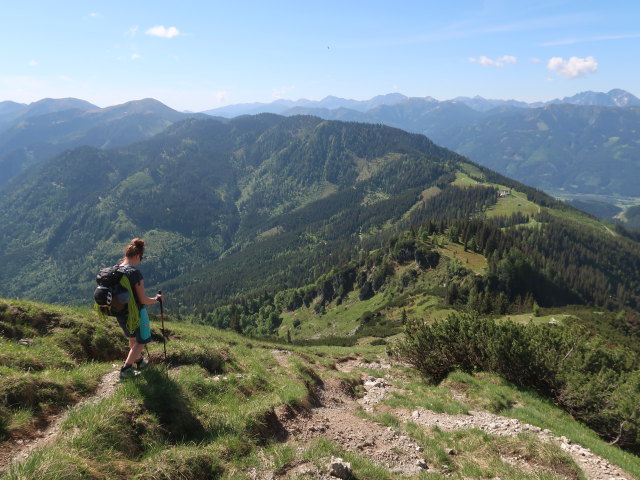 Romana zwischen Totenk&ouml;pfl-Ostgrat und Heldenkreuz (4. Juni)