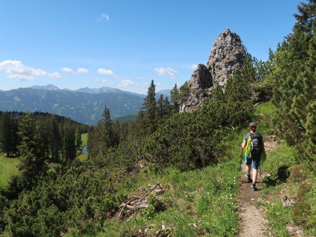 Romana zwischen Heldenkreuz und Treffnersee (4. Juni)