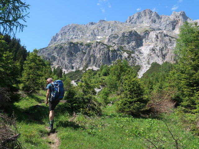 Frank zwischen M&ouml;dlinger H&uuml;tte und Kalblinggatterl (4. Juni)