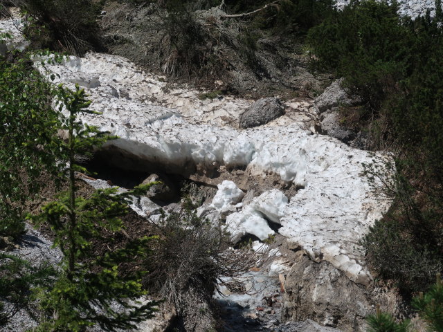 zwischen Mödlinger Hütte und Kalblinggatterl (4. Juni)