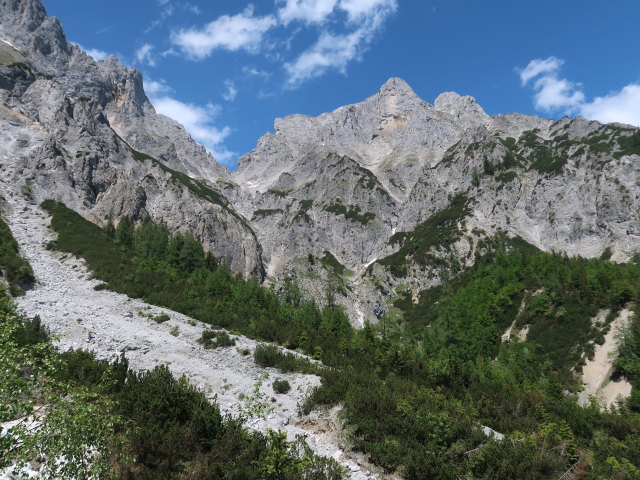 zwischen Mödlinger Hütte und Kalblinggatterl (4. Juni)