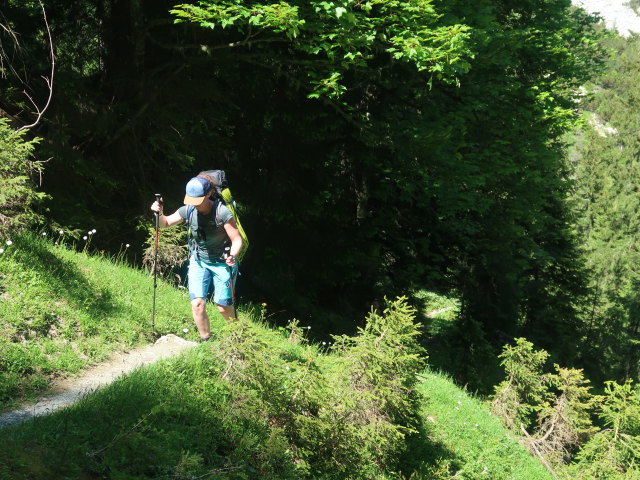 Romana zwischen M&ouml;dlinger H&uuml;tte und Kalblinggatterl (4. Juni)