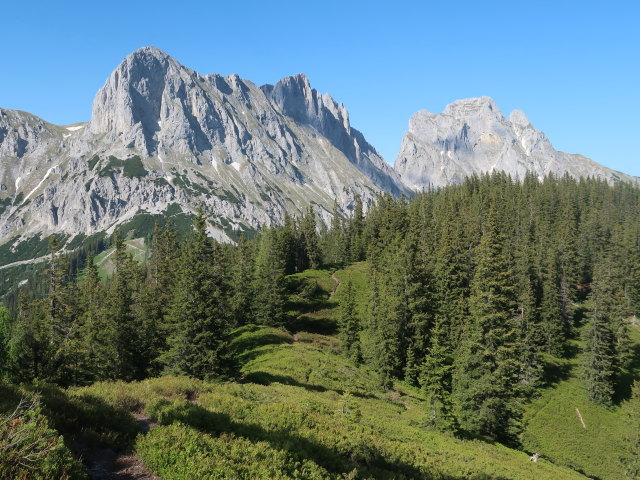 zwischen Kalblinggatterl und Lahngangkogel (4. Juni)