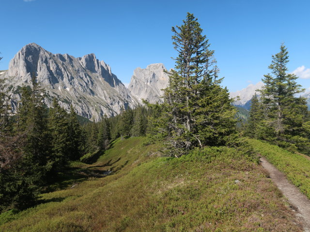 zwischen Kalblinggatterl und Lahngangkogel (4. Juni)