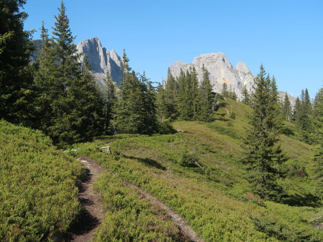 zwischen Kalblinggatterl und Lahngangkogel (4. Juni)