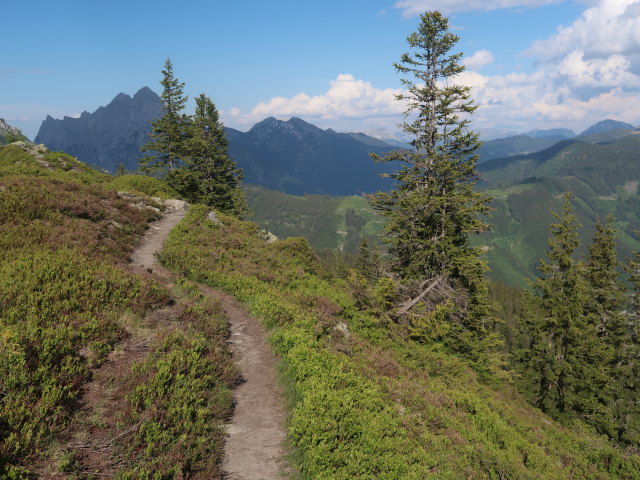 zwischen Lahngangkogel und Kalblinggatterl (4. Juni)